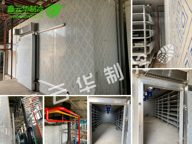 孝感仙桃農(nóng)業(yè)速凍庫項目展示